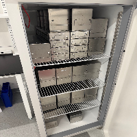 Thermo TSX -20C Freezer image 0